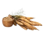 download-removebg-preview-10-150x150