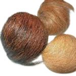 download-removebg-preview-7-150x150