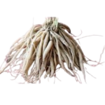 images-removebg-preview-3-150x150